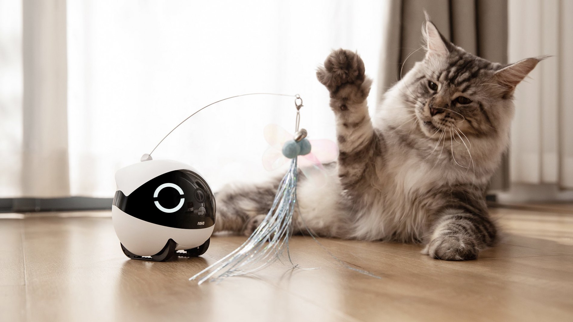 robot-gia-dinh-mini-rola_18